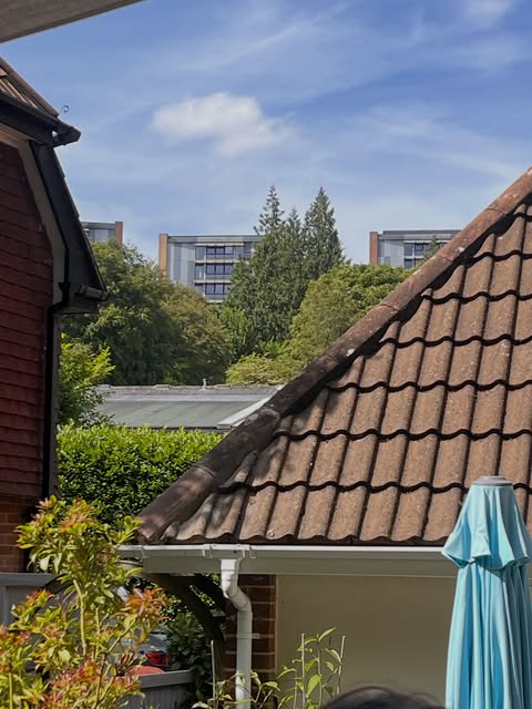 Davis Property Services work — 28 Aug 2026