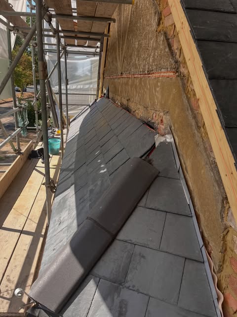 Davis Property Services work — 11 Aug 2026